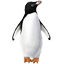 Adeliepinguin