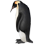 Keizerspinguin