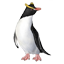 Grote kuifpinguin