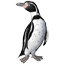 Hunboldtpinguin
